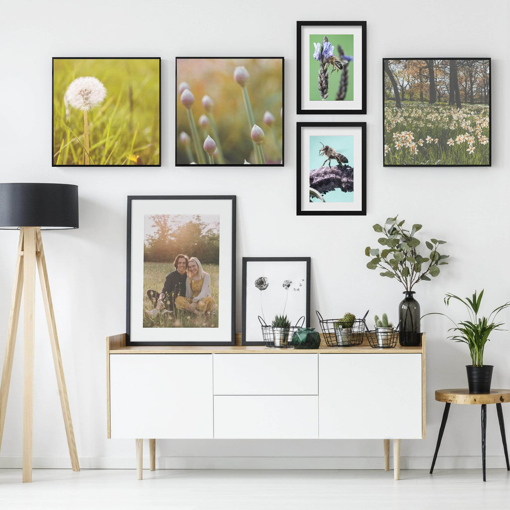 How to Display Your Artwork [Infographic] Posterjack
