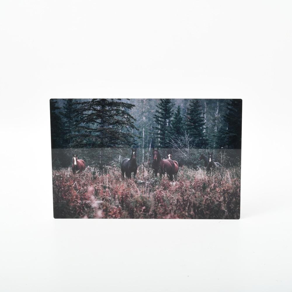 Photo of Wild Horses Printed on HD Metal by Posterjack Canada