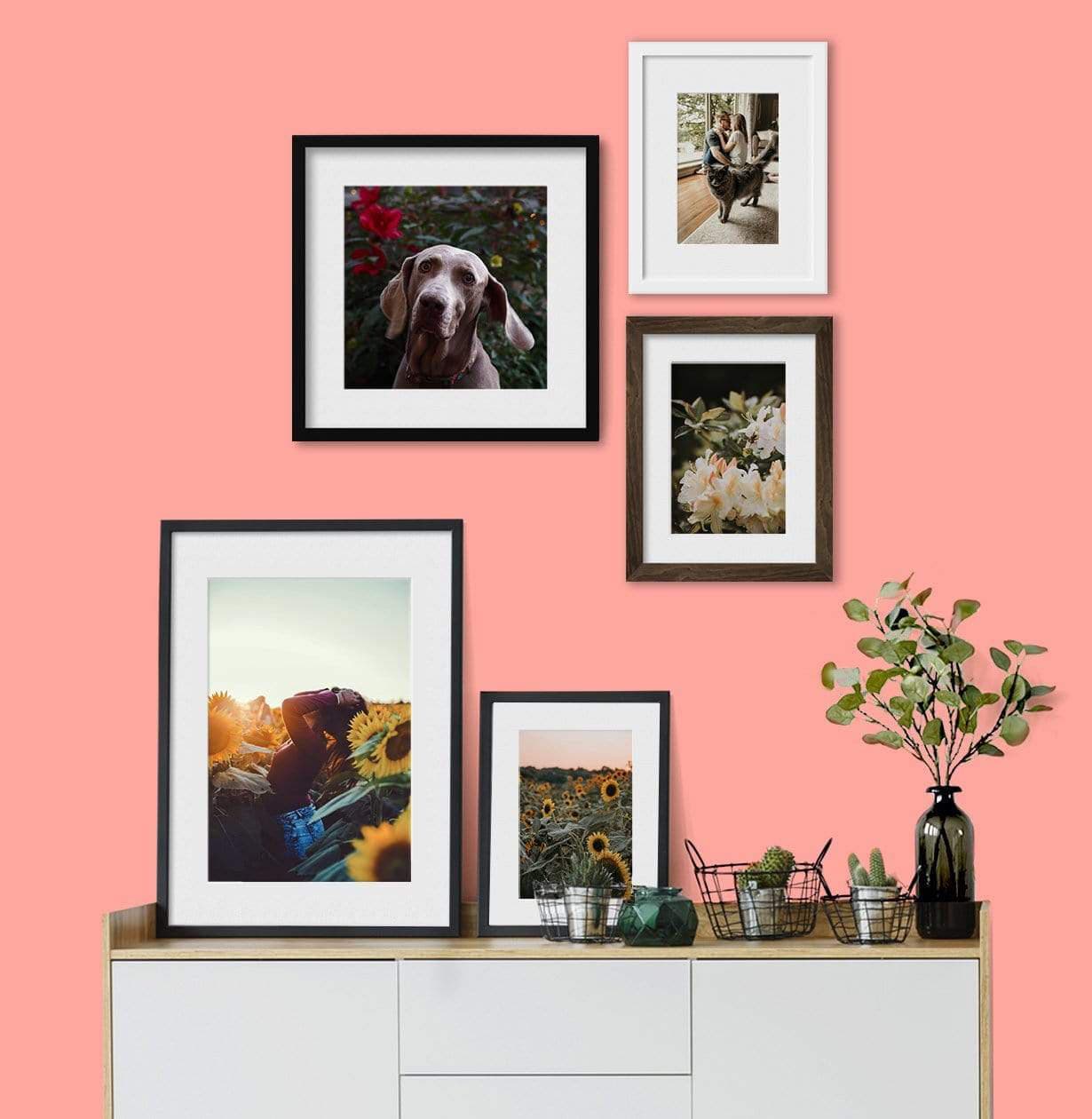 Collection of Picture Frames in Various Sizes