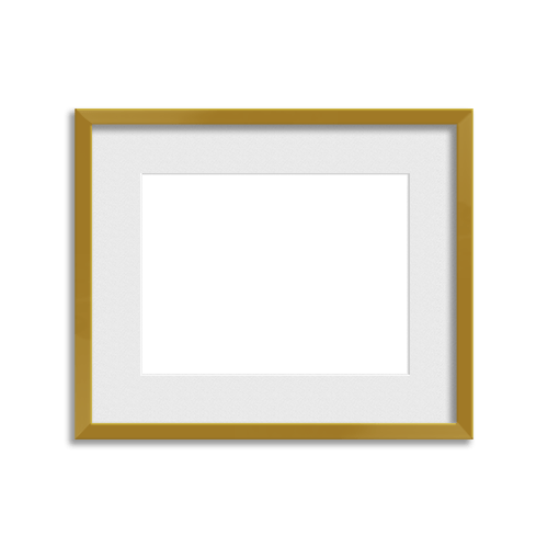 Metallic Frame // Gorgeous Gold