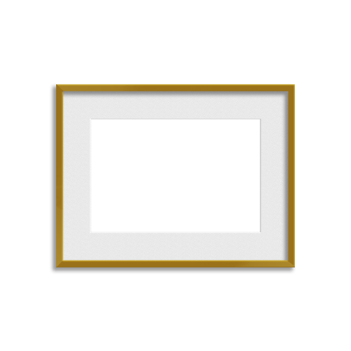 Metallic Frame // Gorgeous Gold