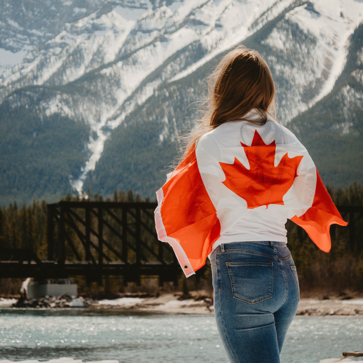 Canadian Creatives on Instagram
