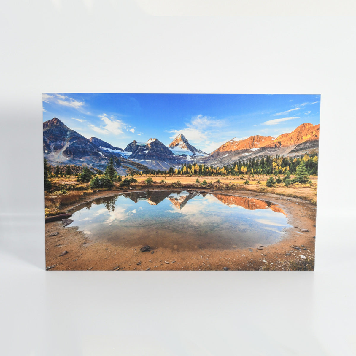 Mt. Assiniboine Canadian Rockies Photo Printed on Metal