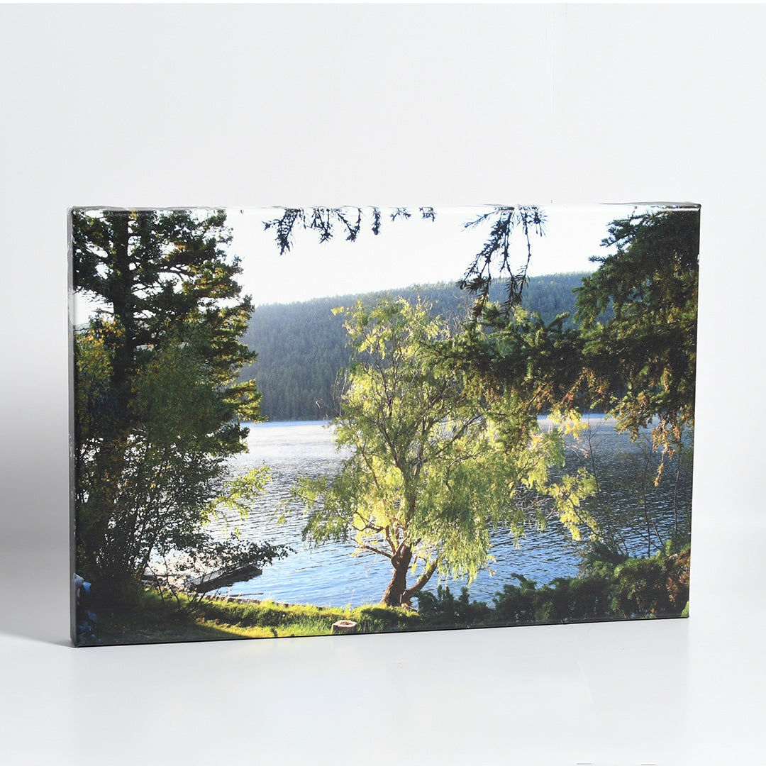 Loon Lake, BC - 16x24 Canvas Print