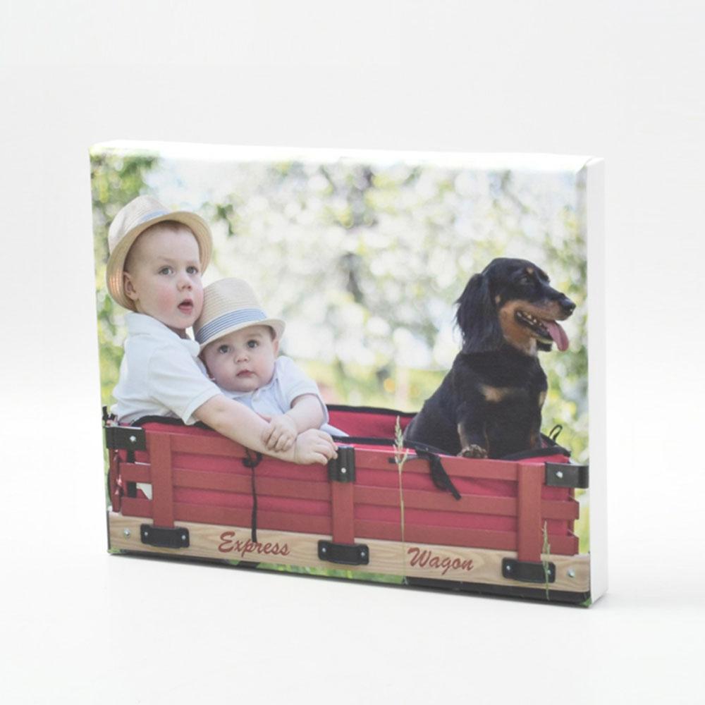 Photo of Siblings and Dog in Red Wagon Printed on Canvas