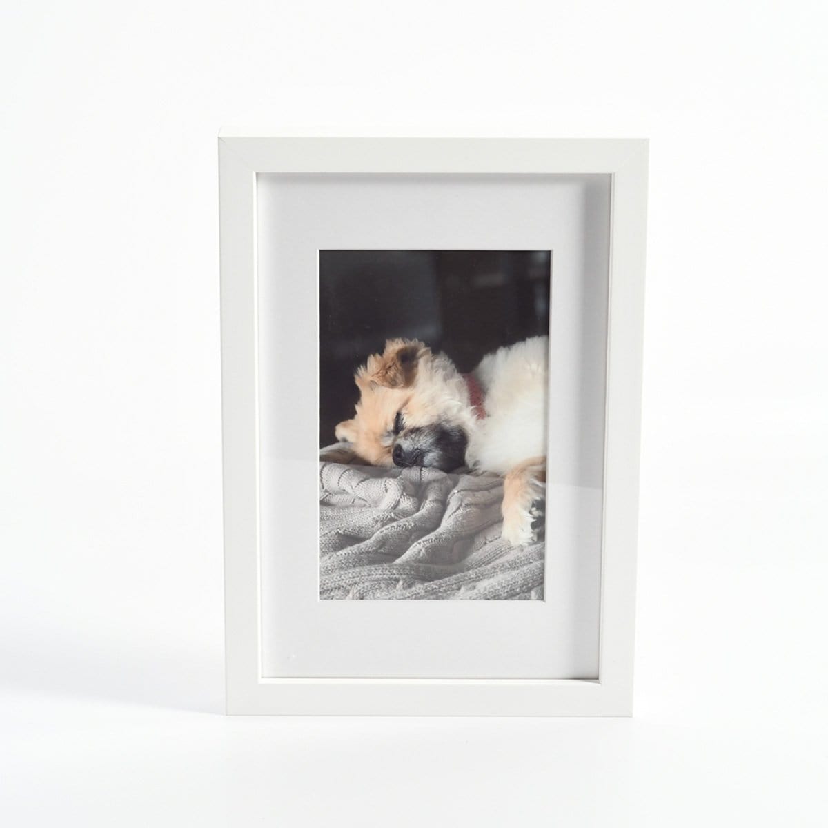 A Beautiful Way to Memorialize a Pet: Photo Art of the Week