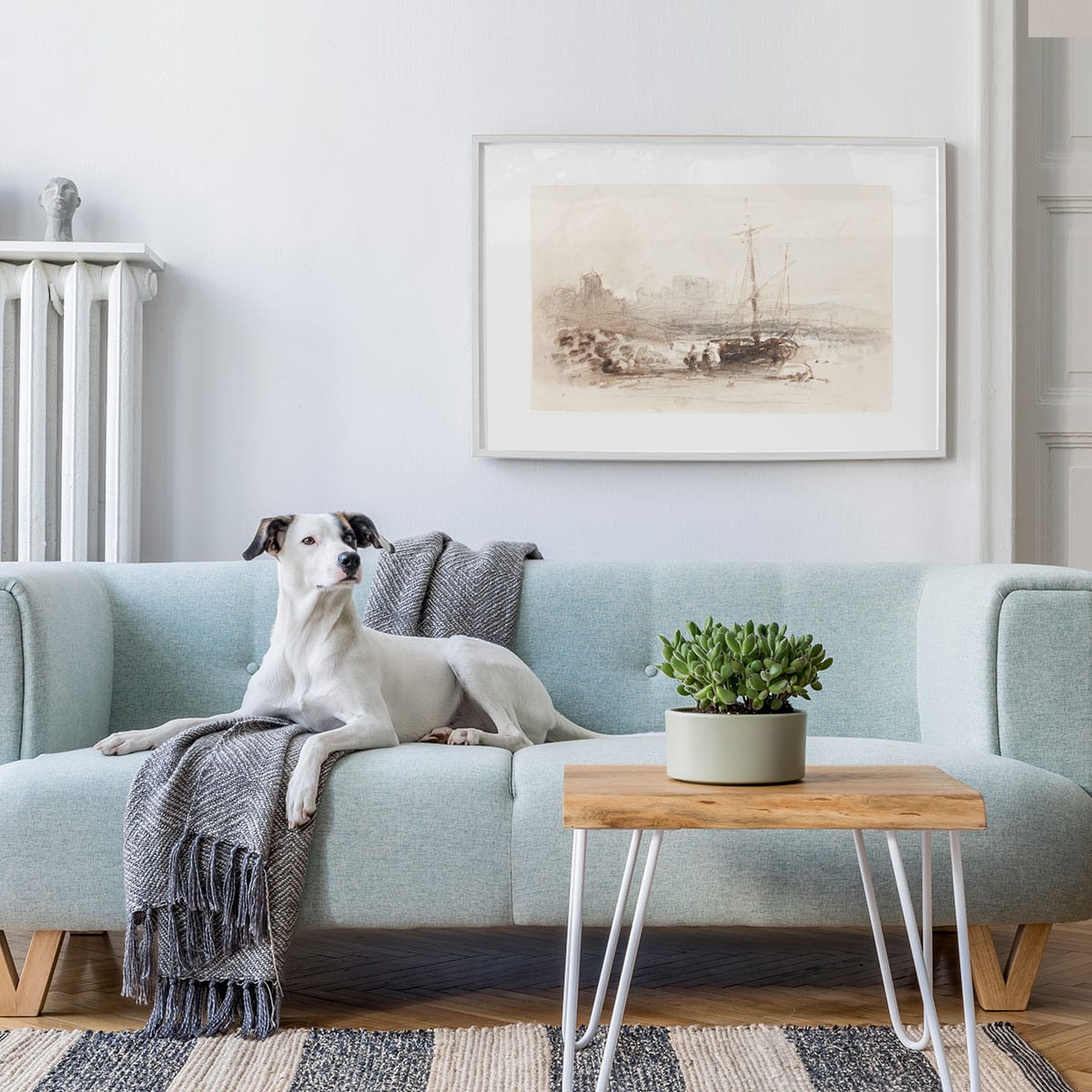 Custom Wall Art Ideas - Digital Download Printed and Framed Above Sofa with a Dog Sitting on It