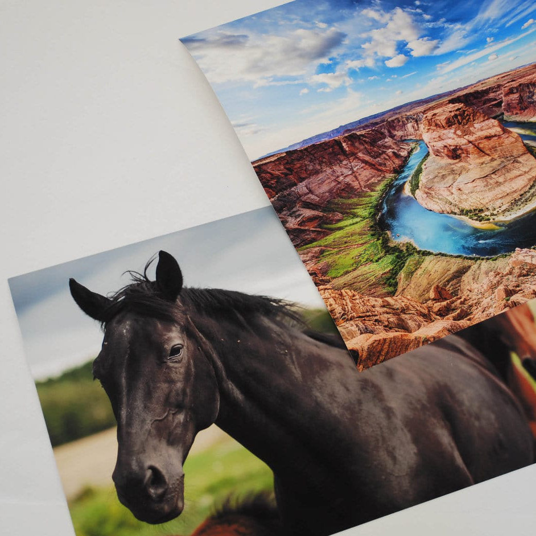 Fine Art Prints featuring images of a horse and landscape