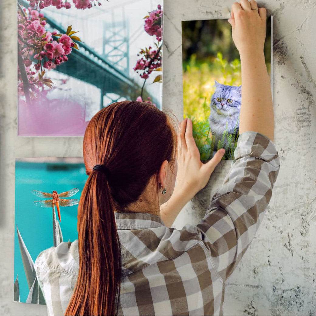 Person hanging an acrylic photo print on the wall.