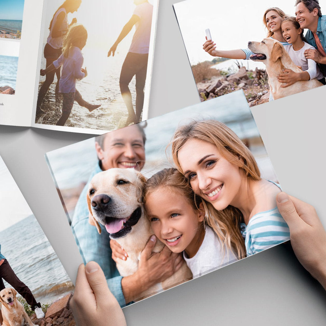 Person holding a photo print of family with dog with other family photos in the background