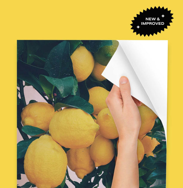 Adhesive Photo Prints by Posterjack Photo Wall Stickers