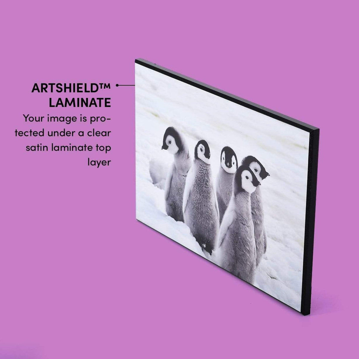 Frameless Photo Mounting by Posterjack | Photo Plaques